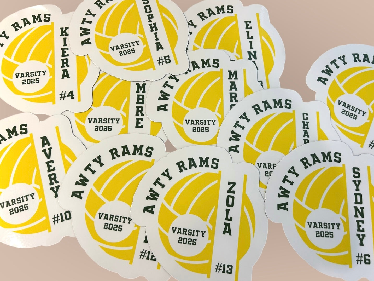 Volleyball Magnet | Personalized