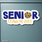 Personalized Senior Cheer Magnet: Custom Name & Year, School Colors